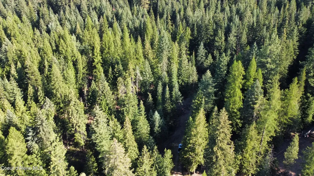 Nka Hells Gulch St. Maries ID 83861