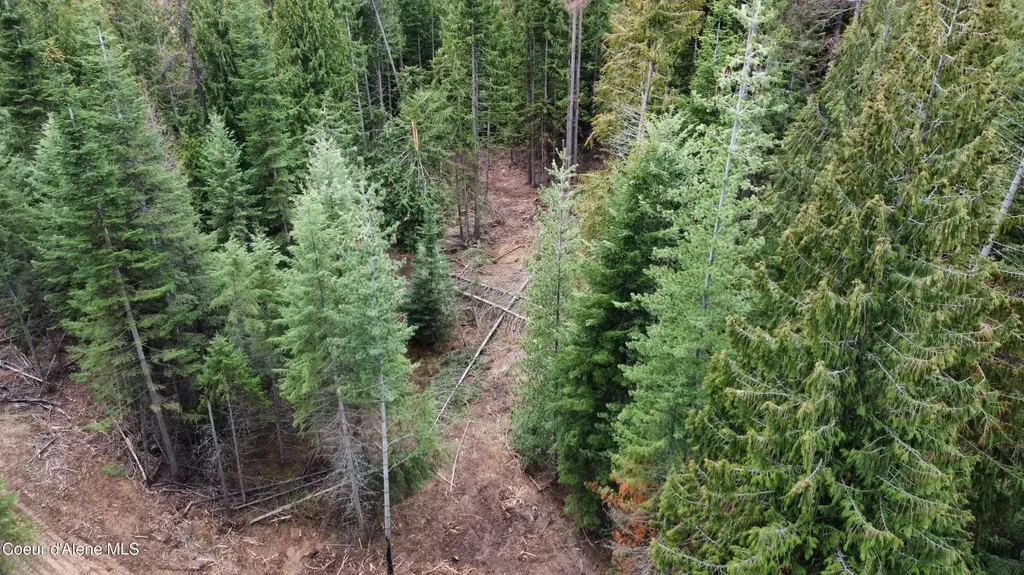 Nka Hells Gulch St. Maries ID 83861