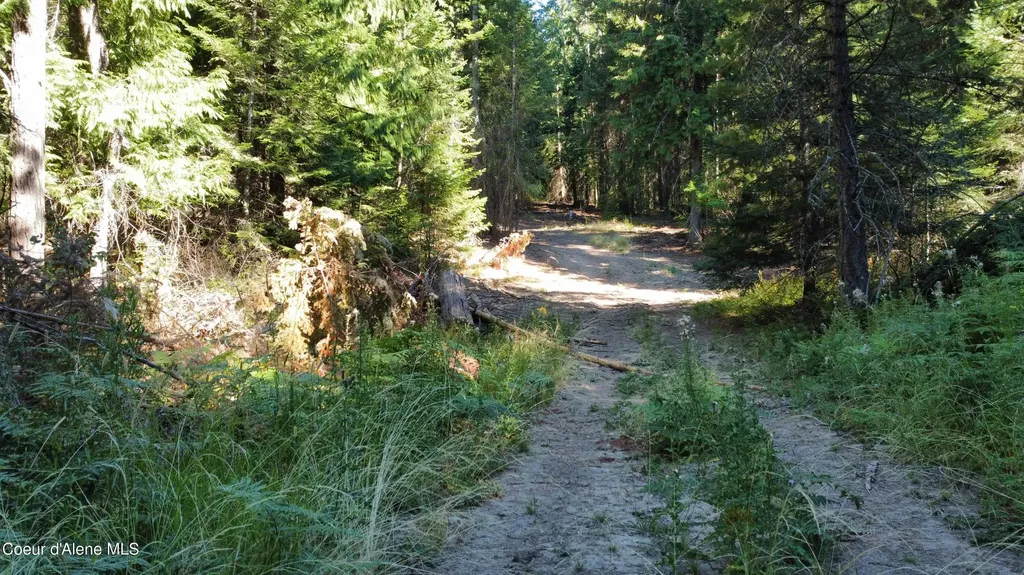 Nka Hells Gulch St. Maries ID 83861