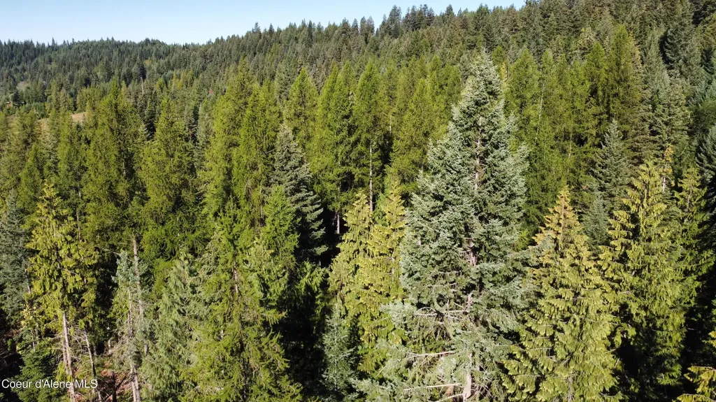 Nka Hells Gulch St. Maries ID 83861