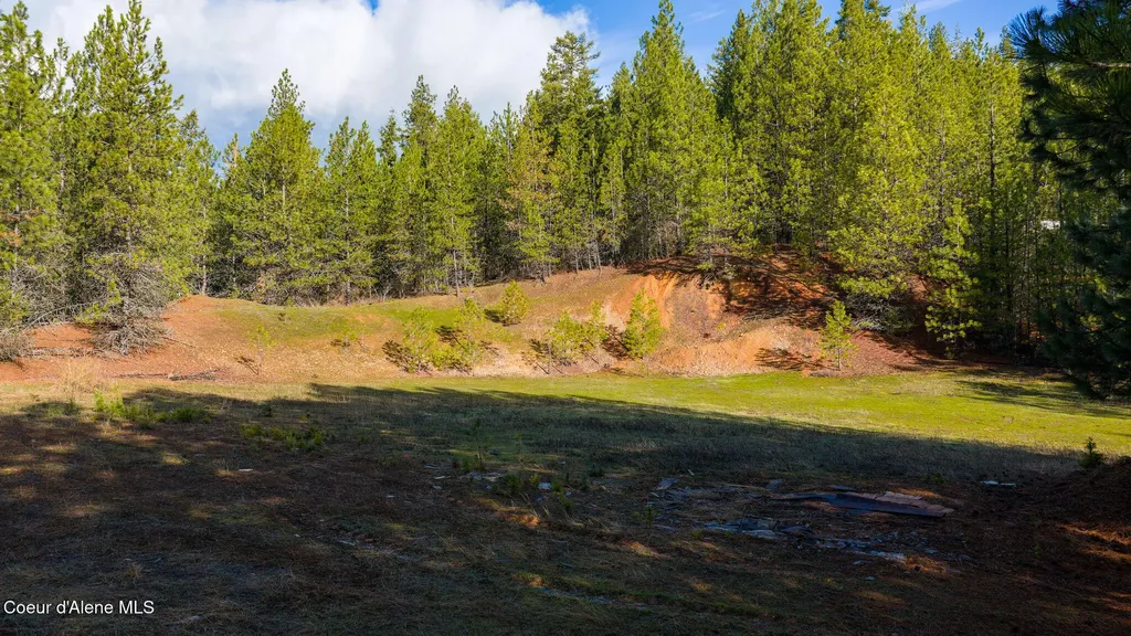 14058 S Carlin Bay Road Harrison ID 83833
