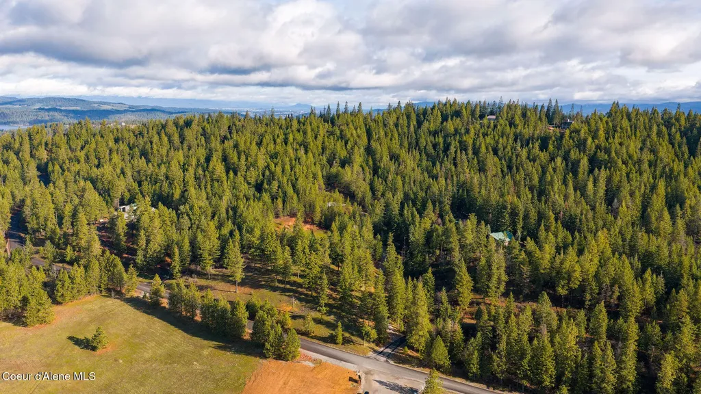 14058 S Carlin Bay Road Harrison ID 83833