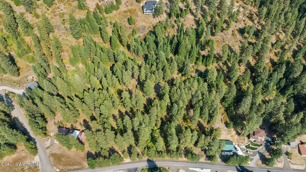 LT10 Blk 1 Sunset Shores Circle Harrison ID 83833