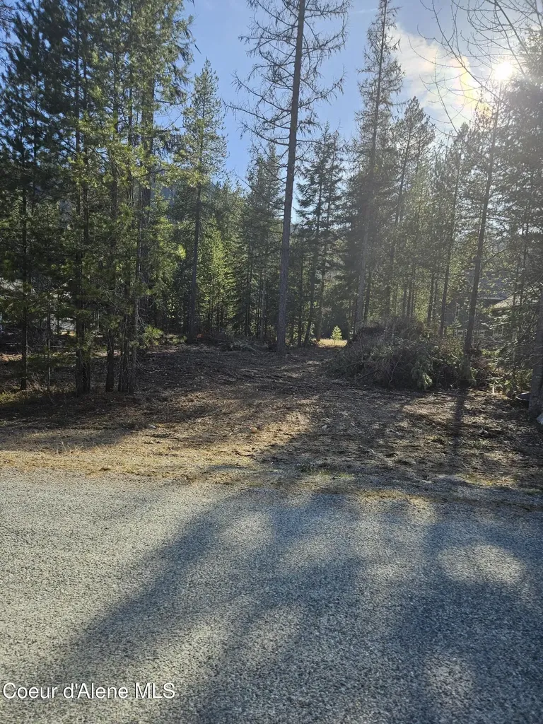 Nna N Ryan Road Priest Lake ID 83856