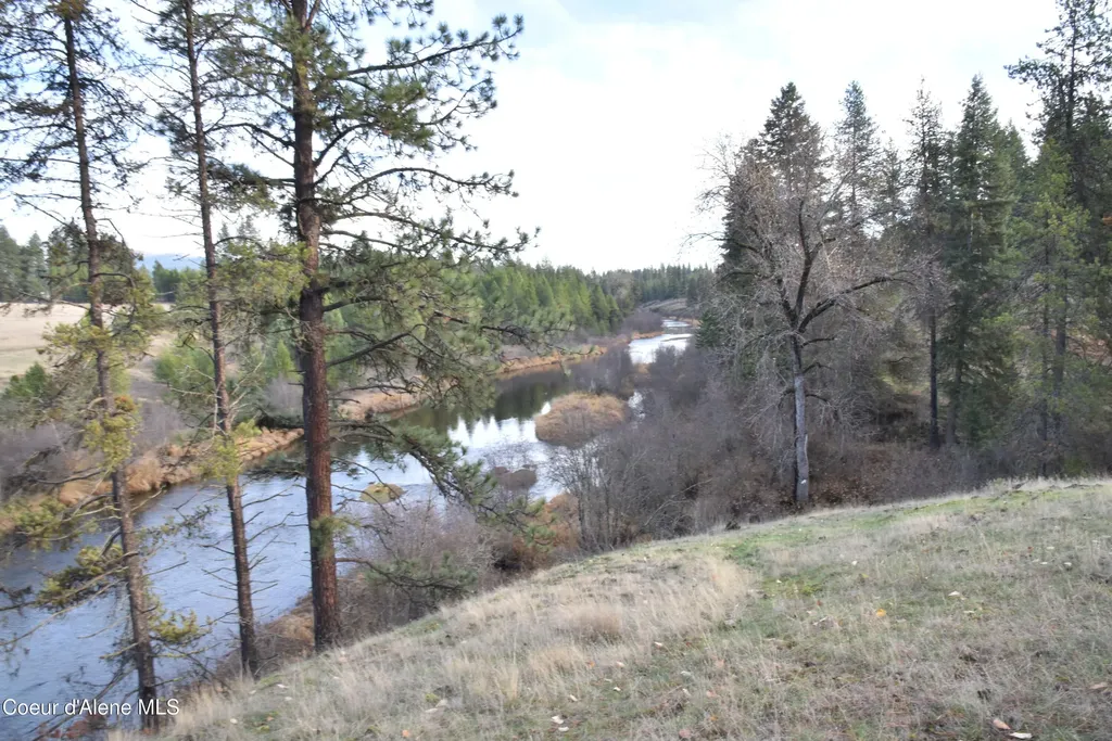 Nka Tyson Creek Road Santa ID 83866