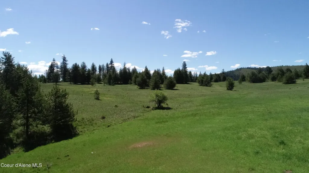 Nka Tyson Creek Road Santa ID 83866