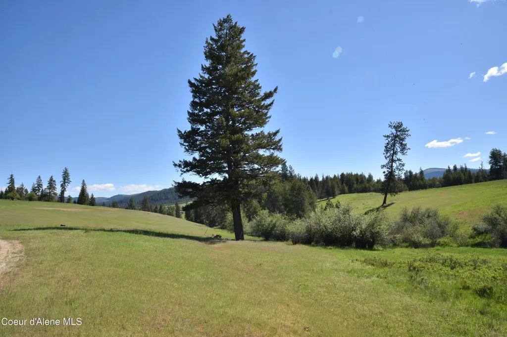 Nka Tyson Creek Road Santa ID 83866
