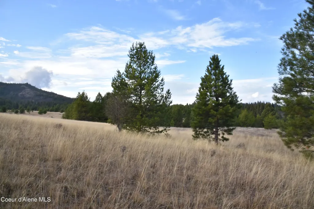 Nka Tyson Creek Road Santa ID 83866