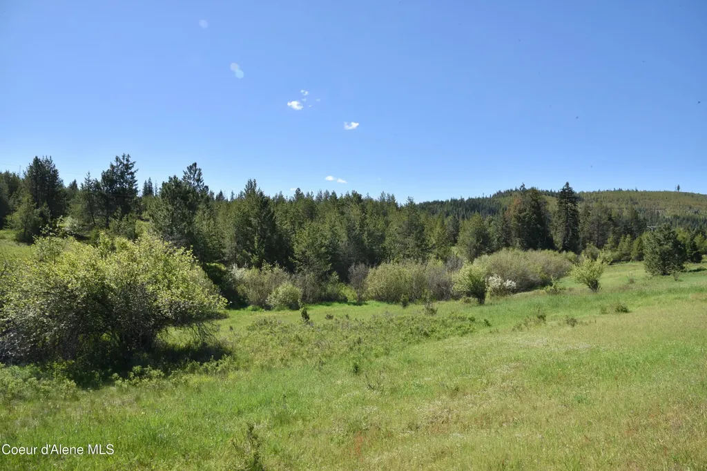 Nka Tyson Creek Road Santa ID 83866
