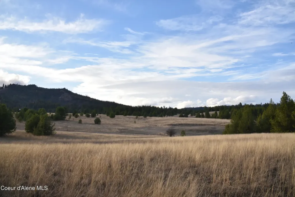 Nka Tyson Creek Road Santa ID 83866