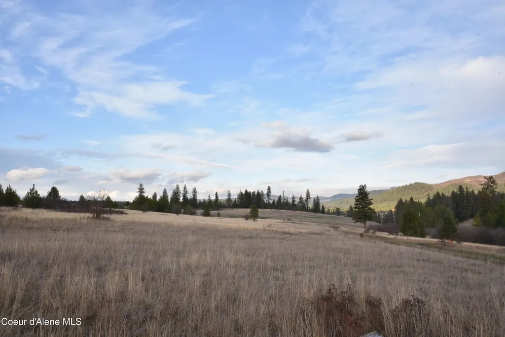 Nka Tyson Creek Road Santa ID 83866