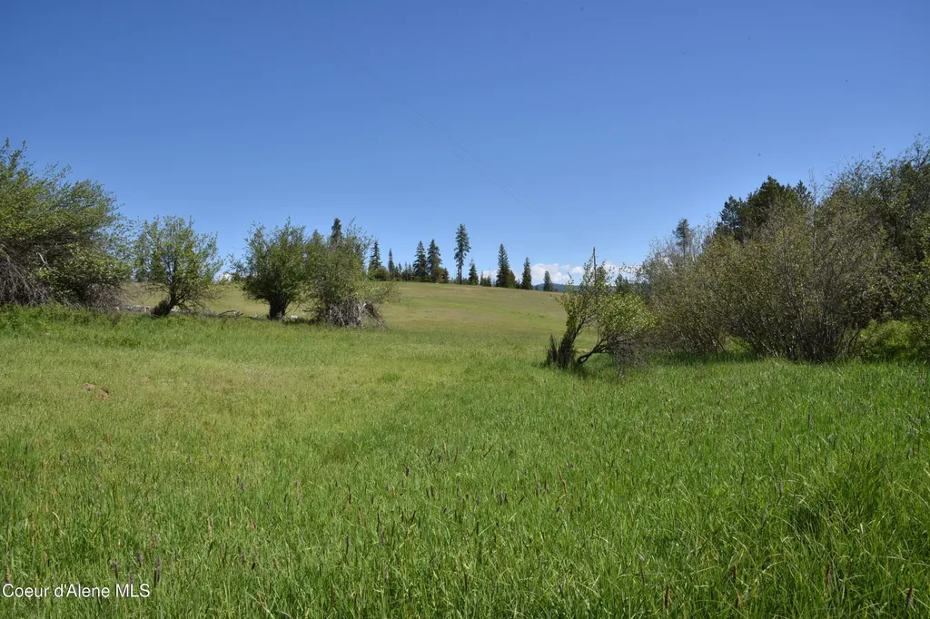 Nka Tyson Creek Road Santa ID 83866