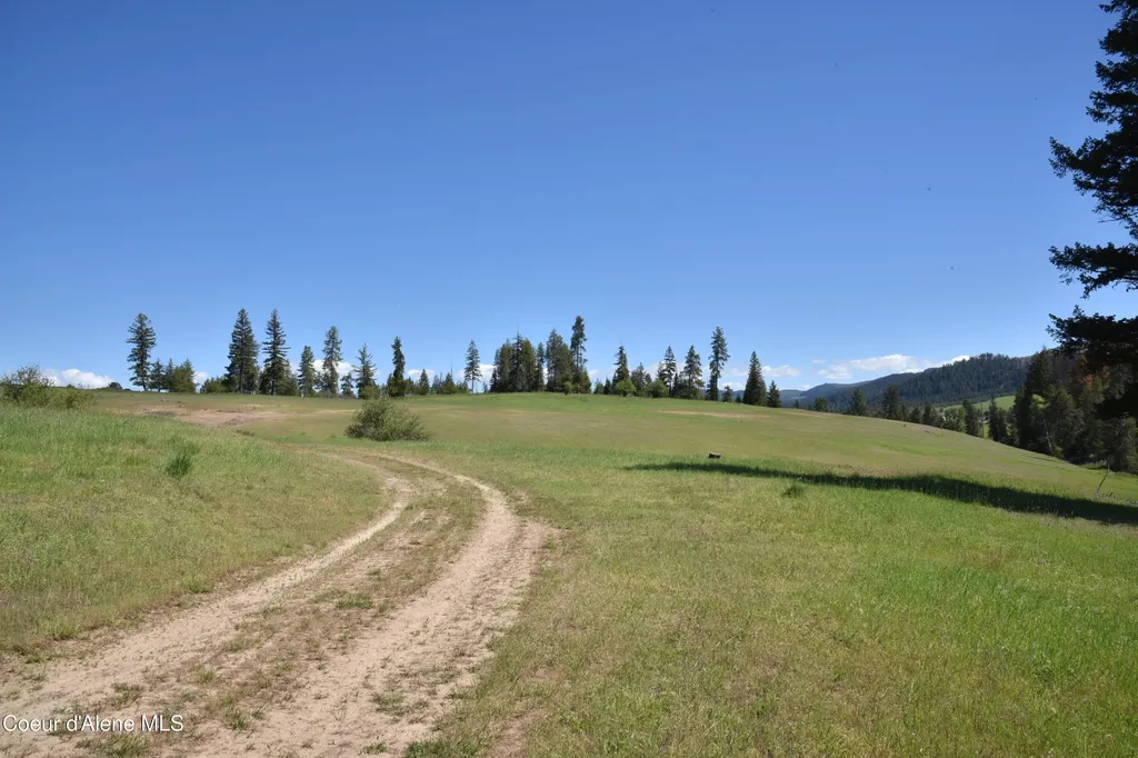 Nka Tyson Creek Road Santa ID 83866