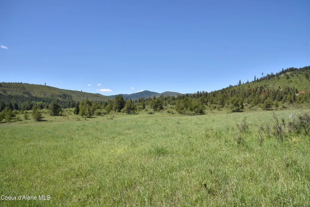 Nka Tyson Creek Road Santa ID 83866