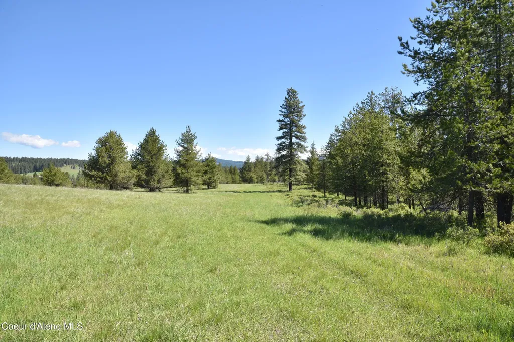 Nka Tyson Creek Road Santa ID 83866