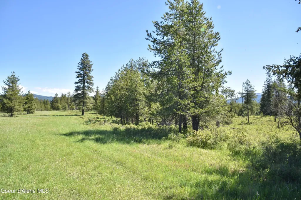 Nka Tyson Creek Road Santa ID 83866