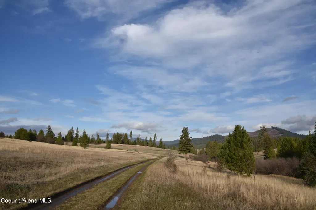 Nka Tyson Creek Road Santa ID 83866