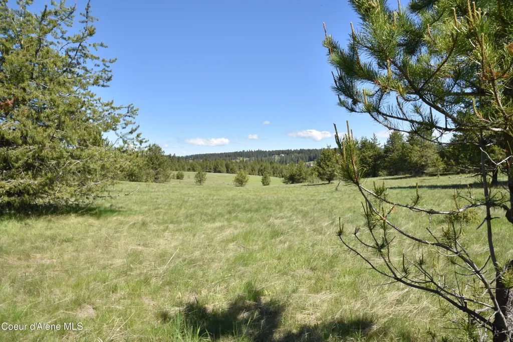 Nka Tyson Creek Road Santa ID 83866