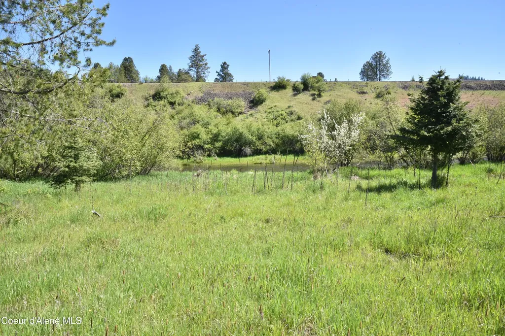 Nka Tyson Creek Road Santa ID 83866