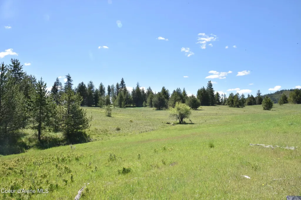 Nka Tyson Creek Road Santa ID 83866