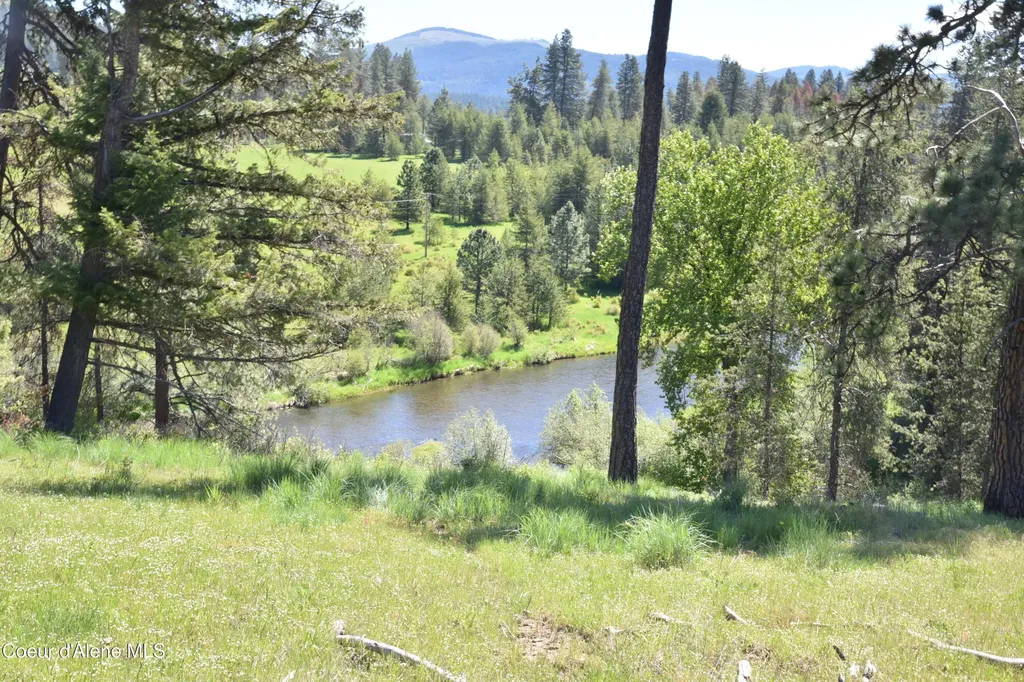 Nka Tyson Creek Road Santa ID 83866