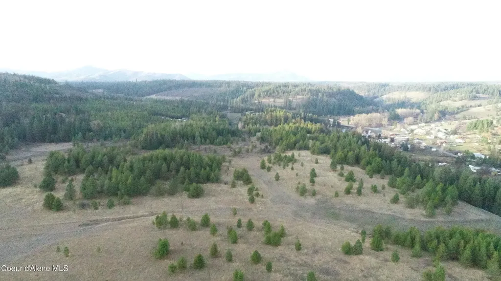Nka Tyson Creek Road Santa ID 83866