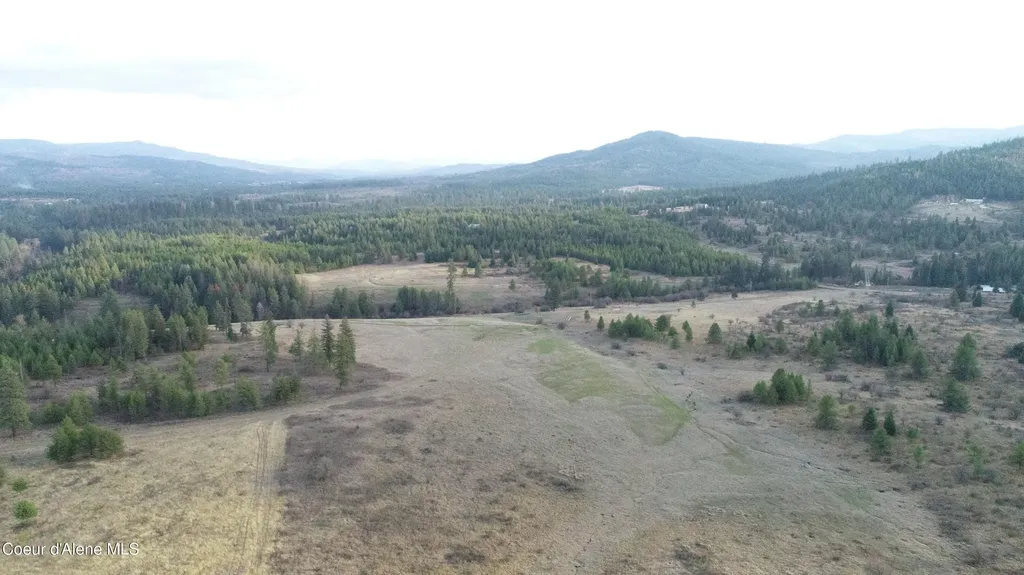 Nka Tyson Creek Road Santa ID 83866