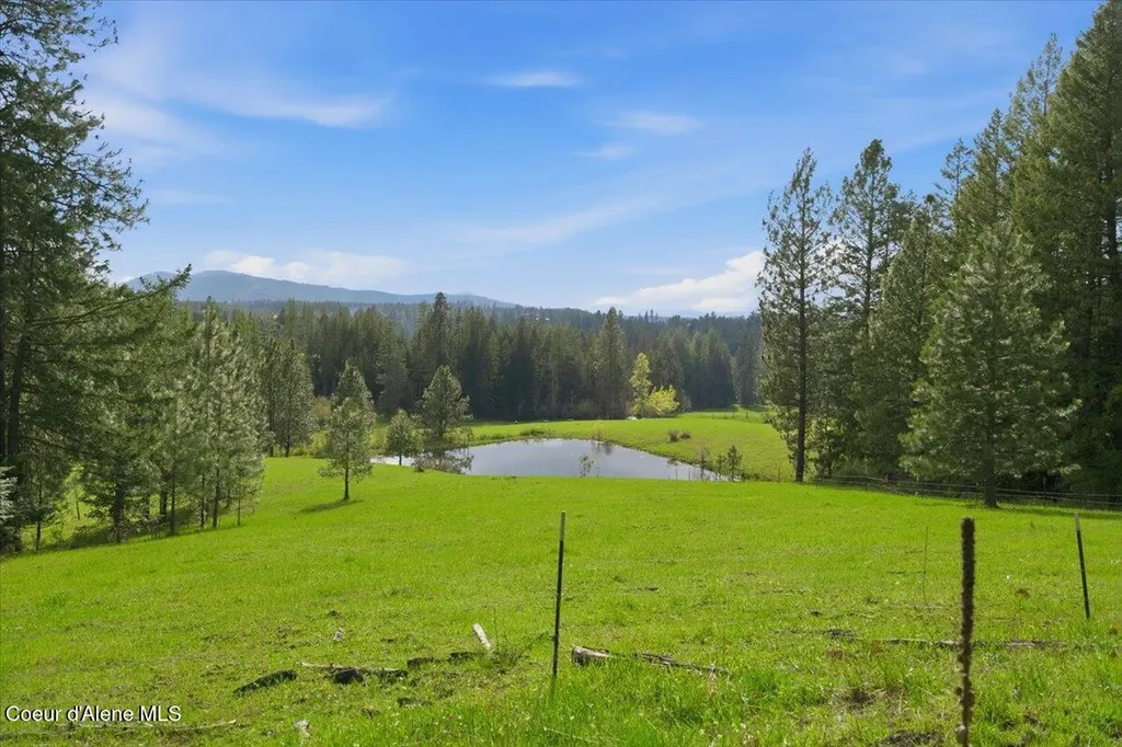 232 Cheyenne Drive St. Maries ID 83861