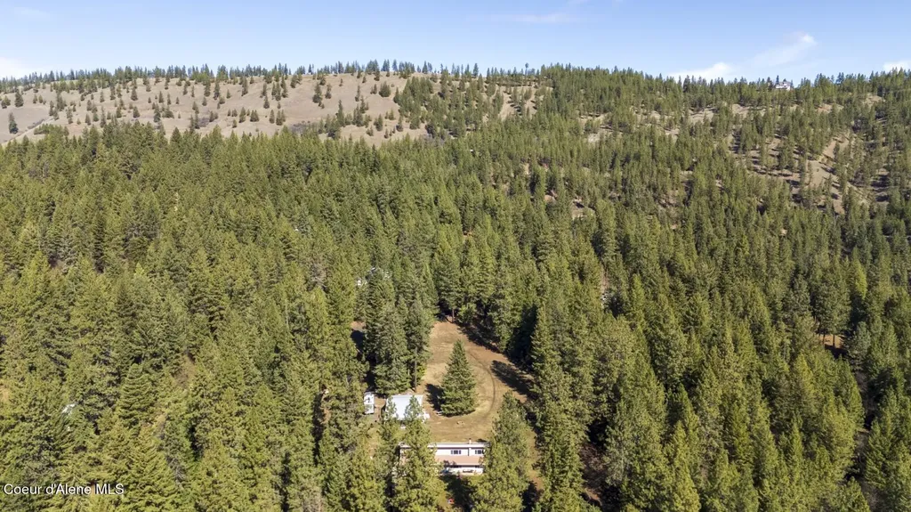 905 Cassandra Hills Road St. Maries ID 83861