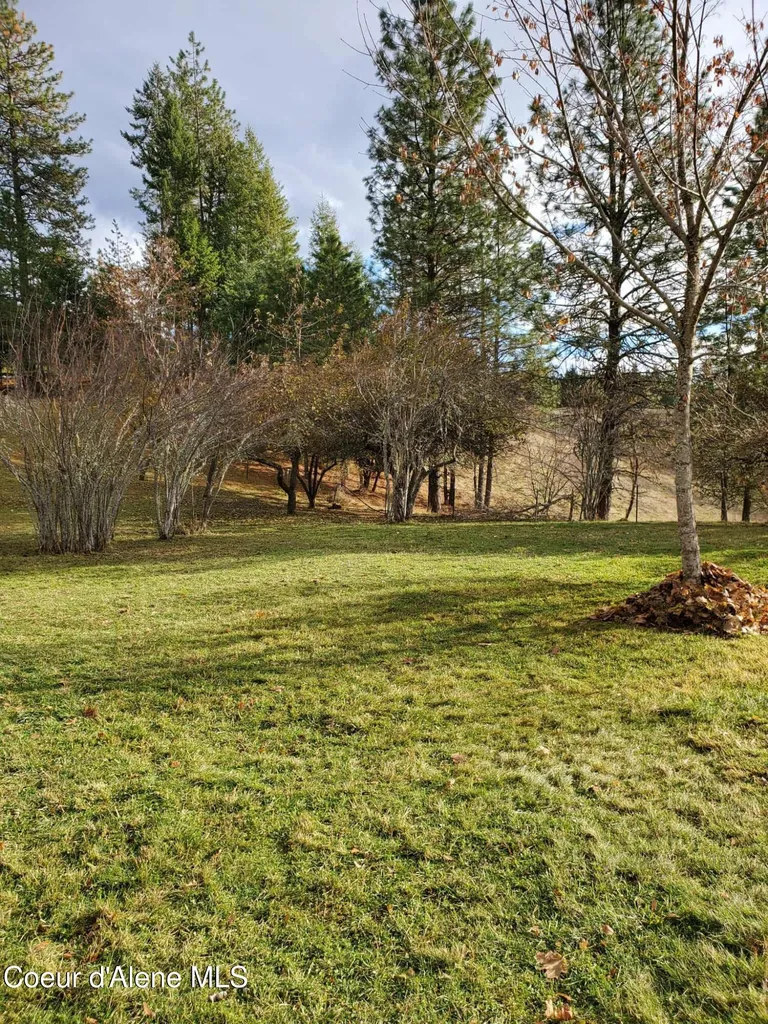 386 Big Cedar Road Kooskia ID 83539