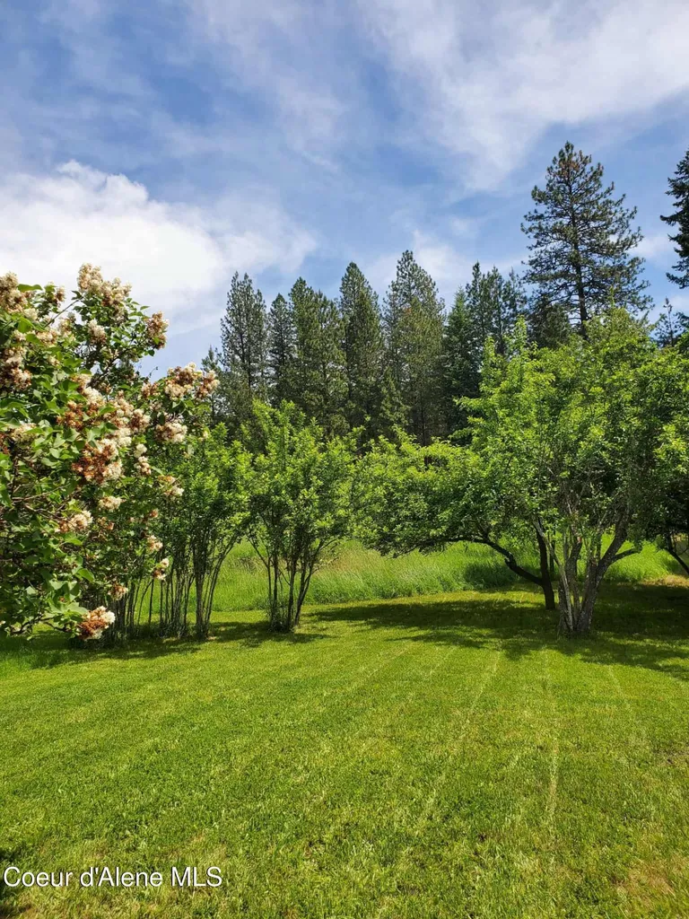 386 Big Cedar Road Kooskia ID 83539