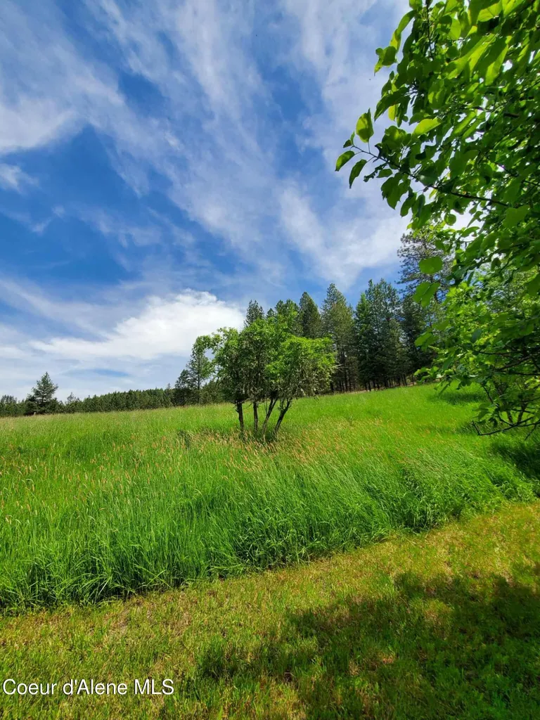 386 Big Cedar Road Kooskia ID 83539