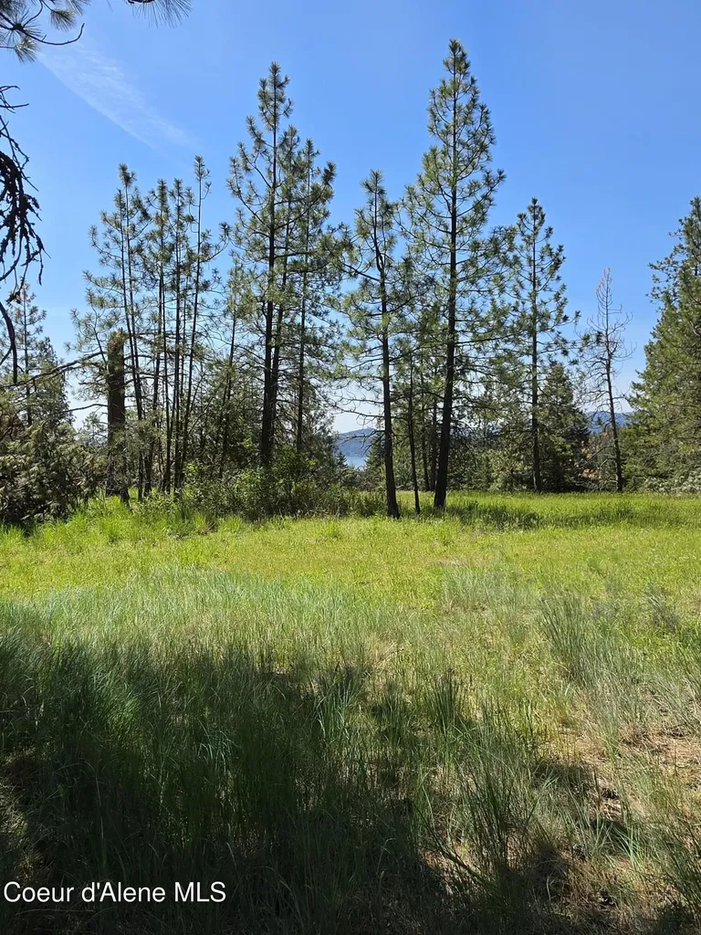 2252 E Badger Road Harrison ID 83833