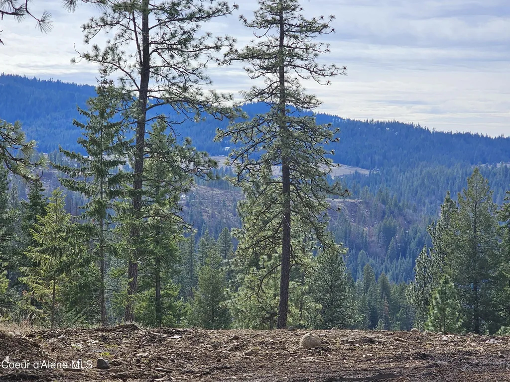 2252 E Badger Road Harrison ID 83833