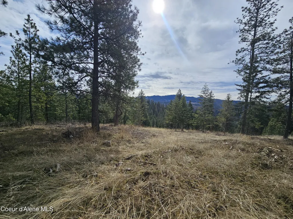 2252 E Badger Road Harrison ID 83833