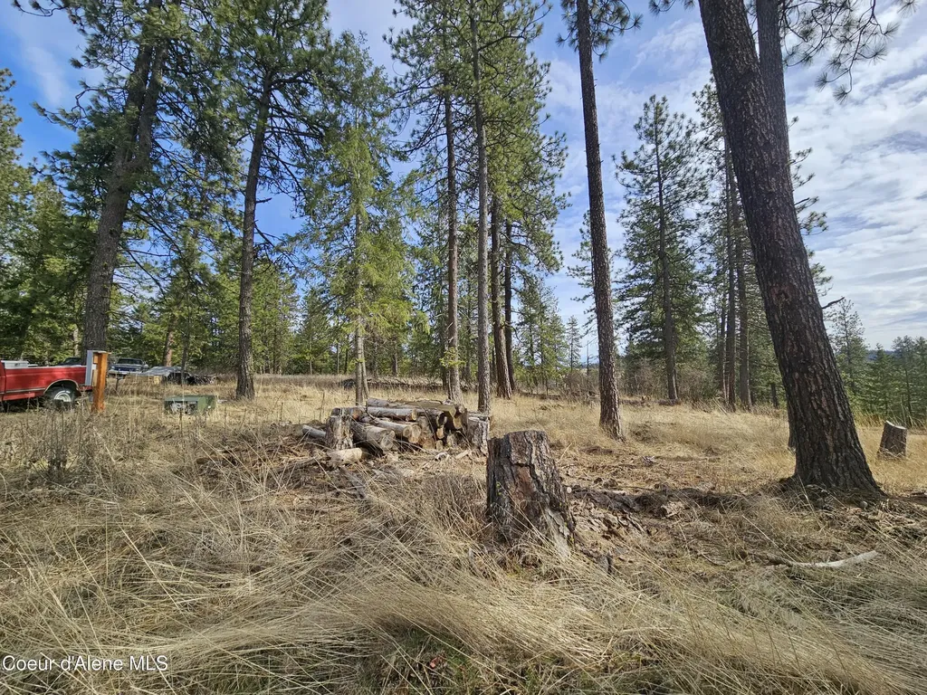 2252 E Badger Road Harrison ID 83833