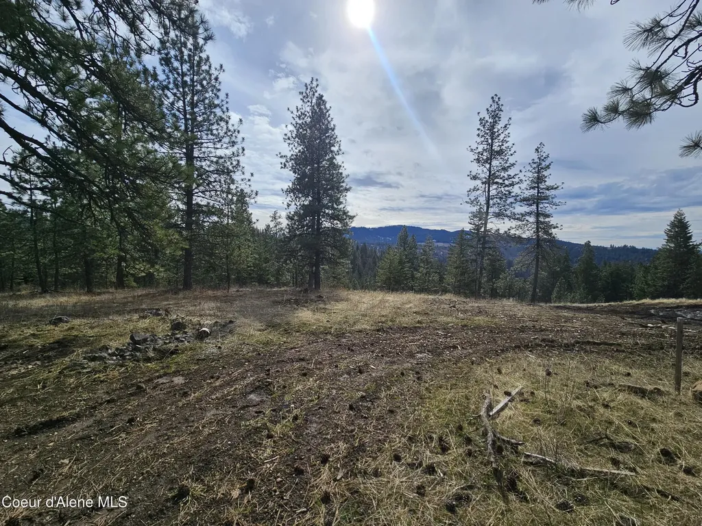 2252 E Badger Road Harrison ID 83833