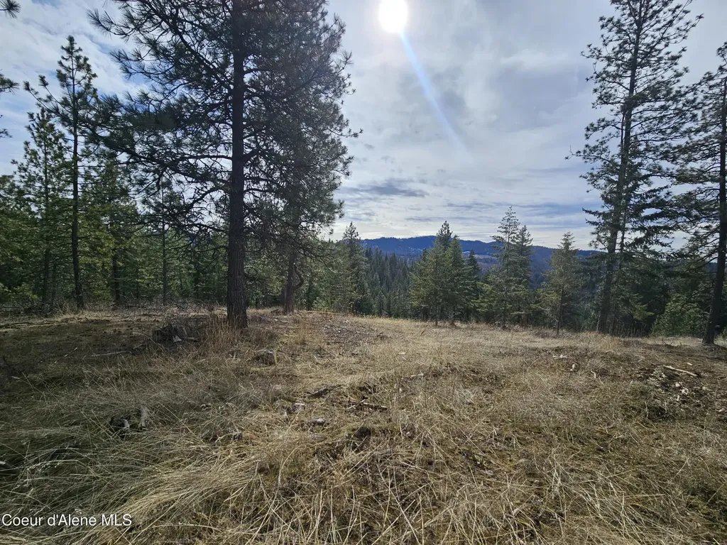 2252 E Badger Road Harrison ID 83833