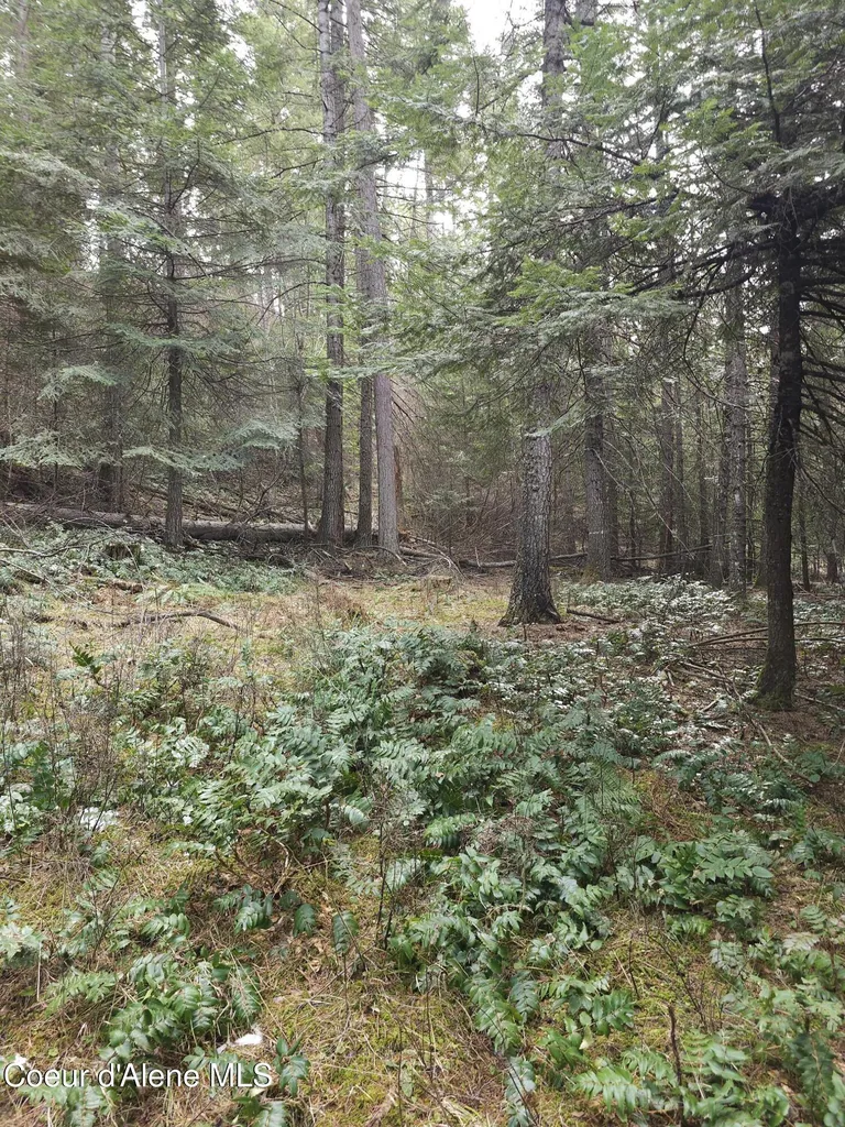 2252 E Badger Road Harrison ID 83833