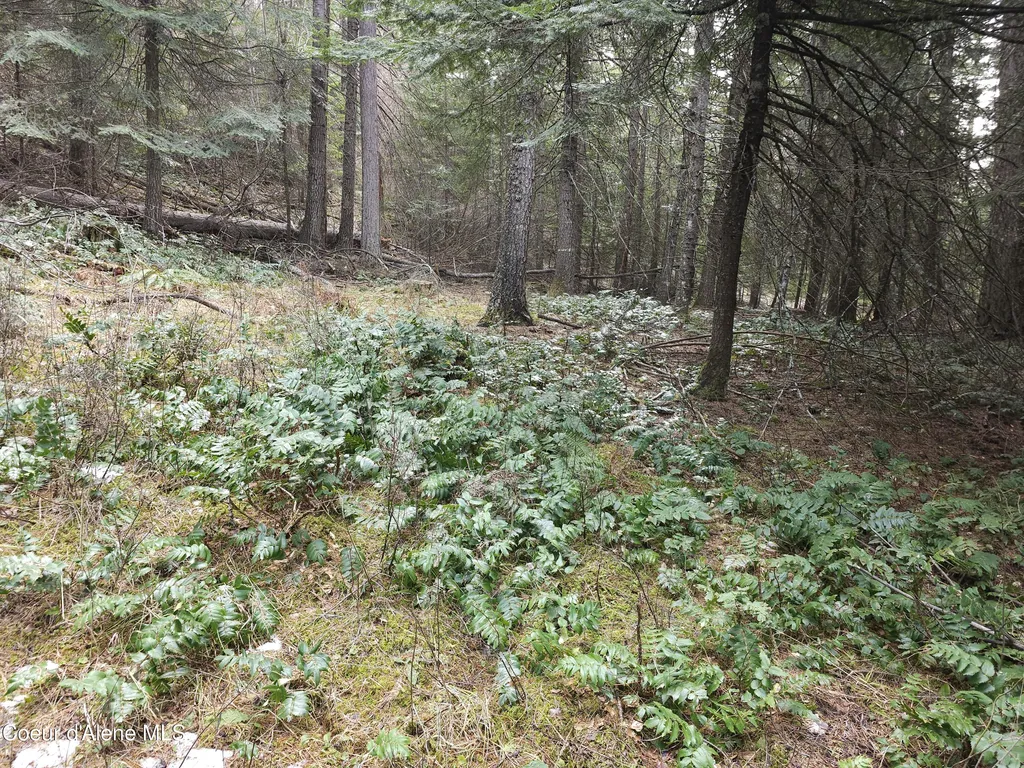 2252 E Badger Road Harrison ID 83833