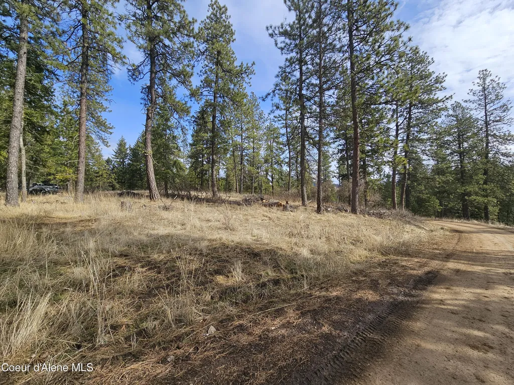 2252 E Badger Road Harrison ID 83833
