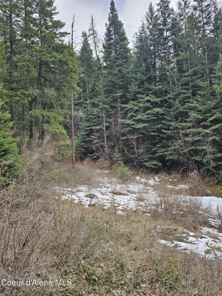 2252 E Badger Road Harrison ID 83833