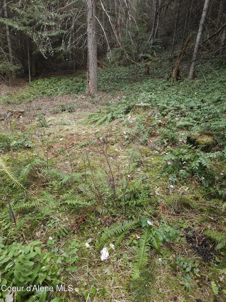 2252 E Badger Road Harrison ID 83833
