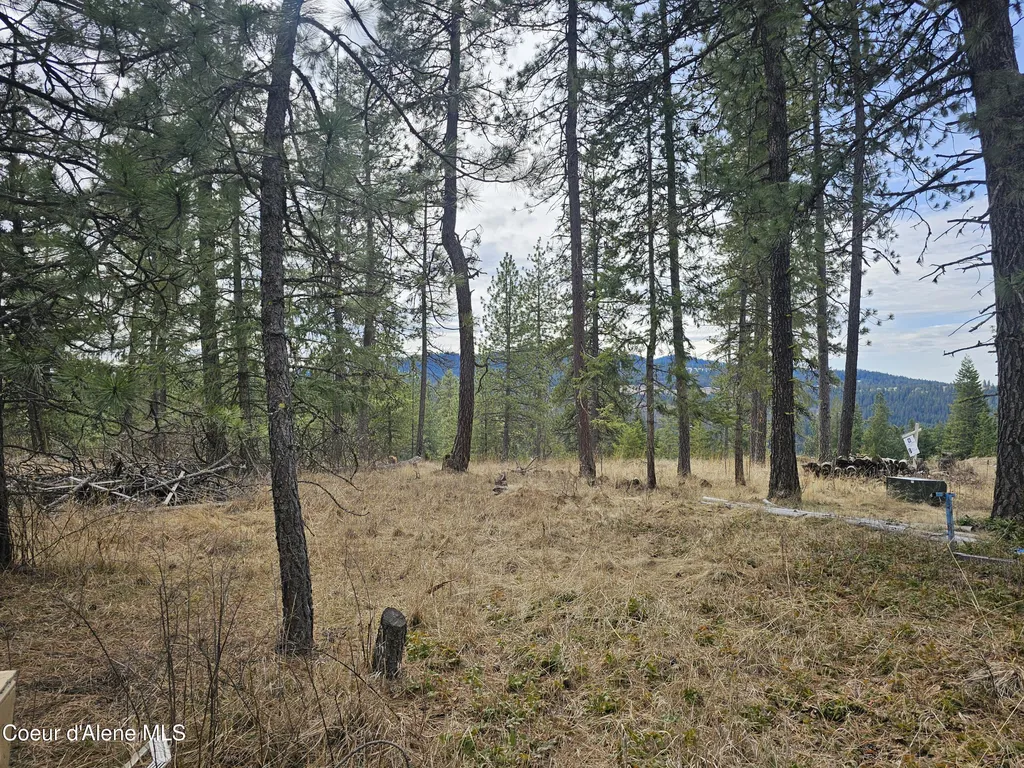 2252 E Badger Road Harrison ID 83833