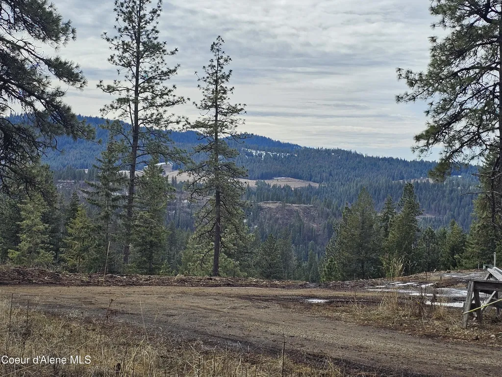2252 E Badger Road Harrison ID 83833