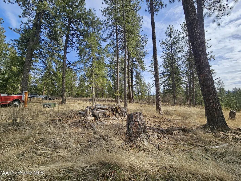 2252 E Badger Road Harrison ID 83833