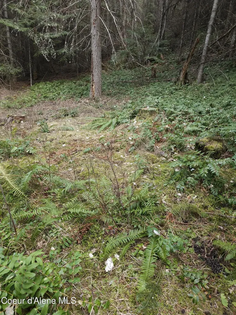 2252 E Badger Road Harrison ID 83833