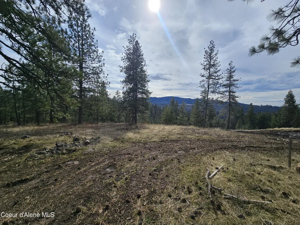 2252 E Badger Road Harrison ID 83833