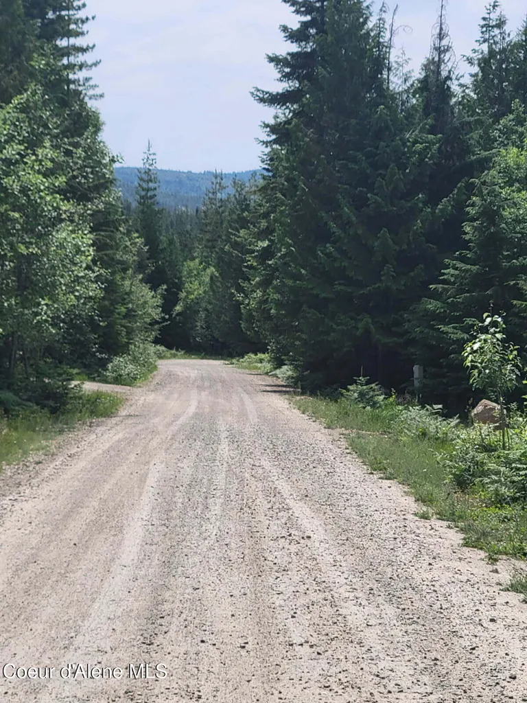 240 Rising Hawk Ridge Road Sandpoint ID 83864