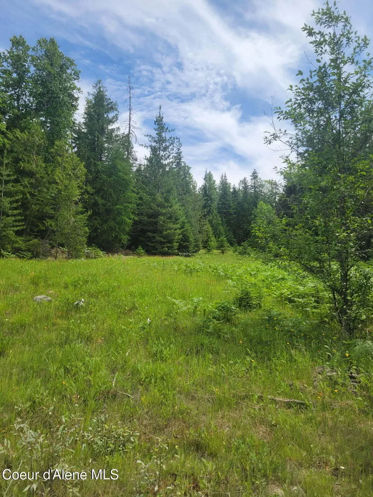 240 Rising Hawk Ridge Road Sandpoint ID 83864